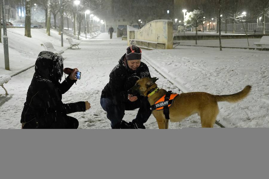 Fotos: Nieva en Valladolid