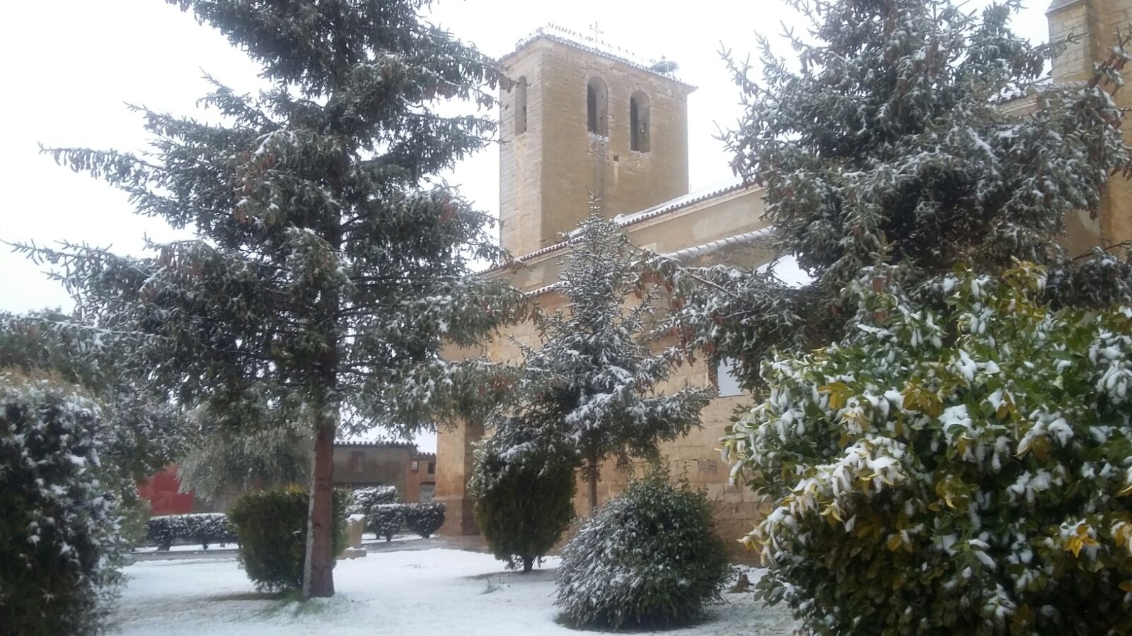 Fotos: Las fotos de la nieve enviadas por los lectores de El Norte de Castilla