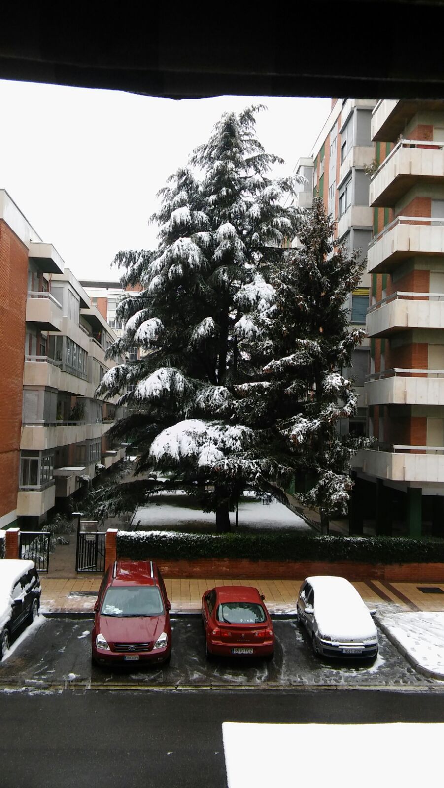 Fotos: Las fotos de la nieve enviadas por los lectores de El Norte de Castilla