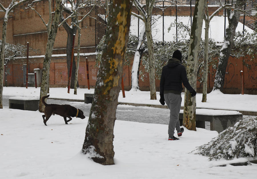 Fotos: La capital se tiñe de blanco