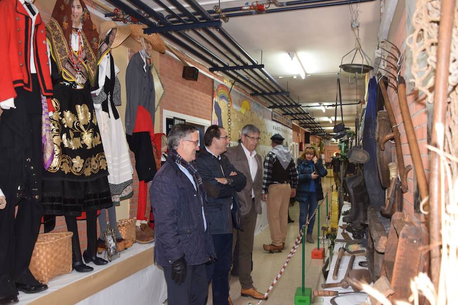 Fotos: El colegio Las Rozas centra el aprendizaje en la Montaña