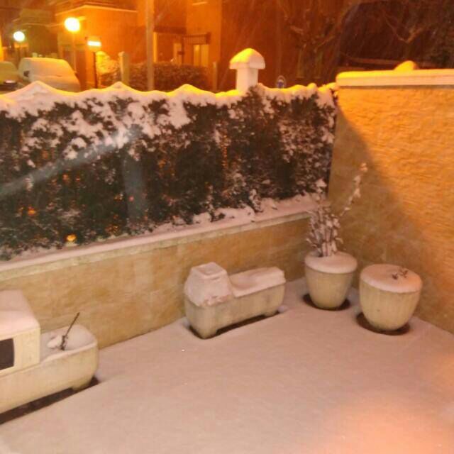 Cigales.