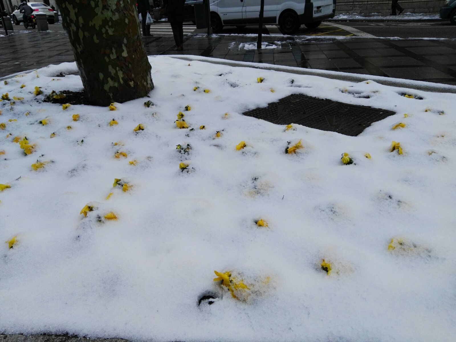 Fotos: Las fotos de la nieve enviadas por los lectores de El Norte de Castilla