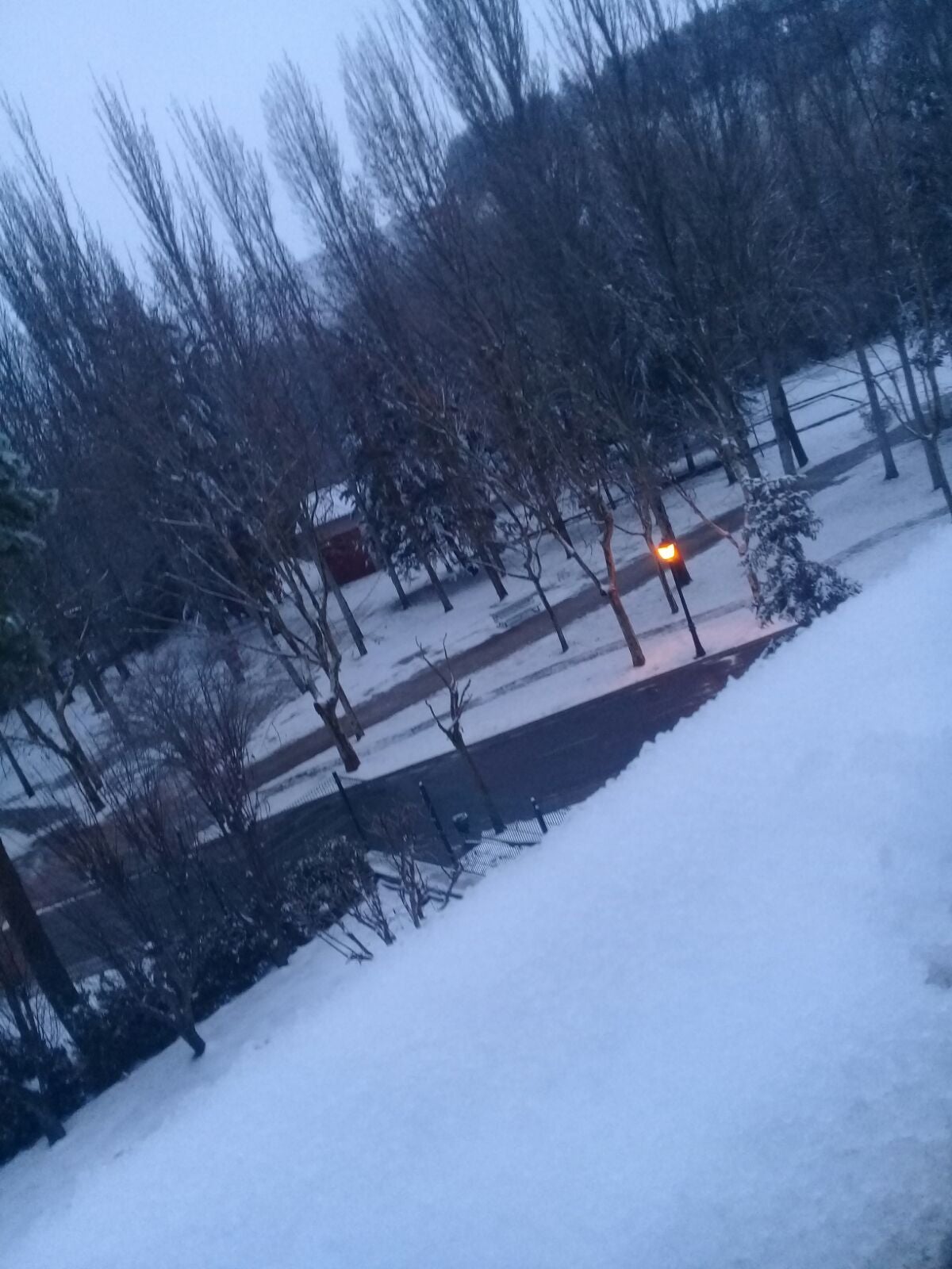 Fotos: Las fotos de la nieve enviadas por los lectores de El Norte de Castilla