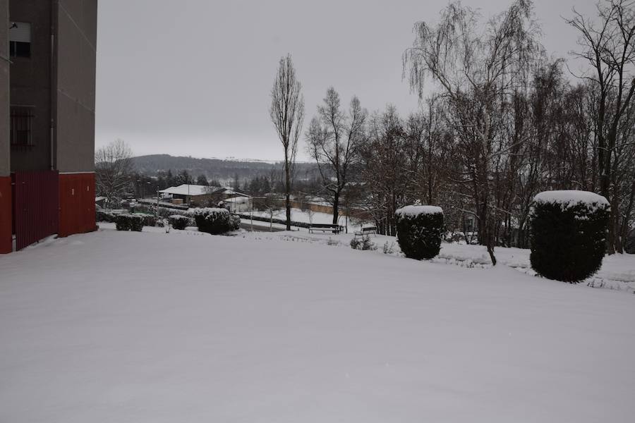 Fotos: Nieve en Guardo