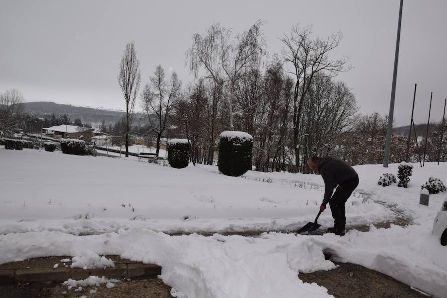 Fotos: Nieve en Guardo