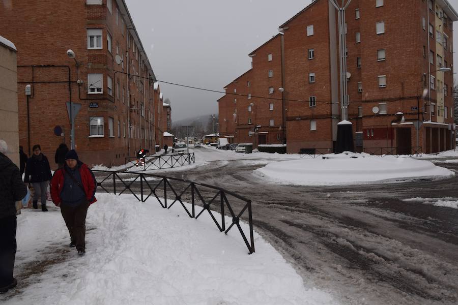 Fotos: Nieve en Guardo