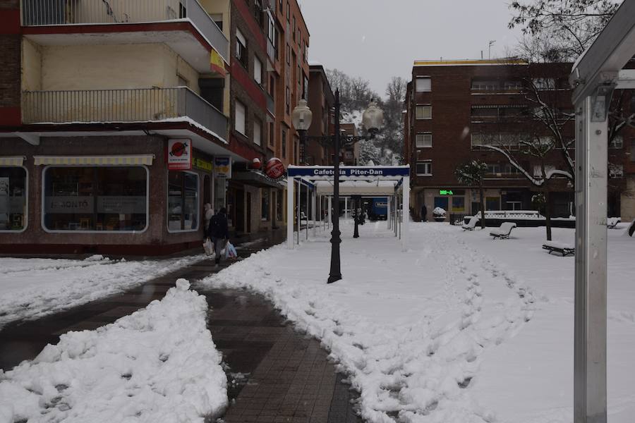 Fotos: Nieve en Guardo