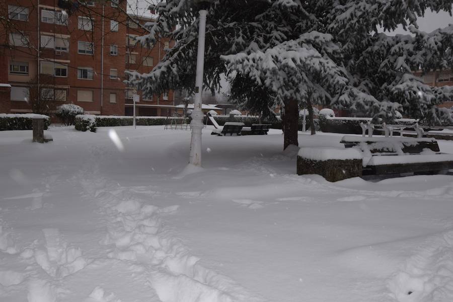 Fotos: Nieve en Guardo