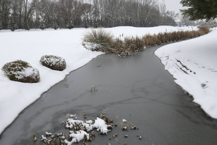 Fotos: La capital palentina se tiñe de blanco II