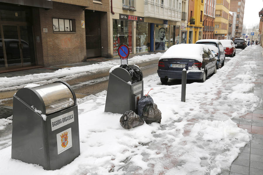 Fotos: La capital palentina se tiñe de blanco II