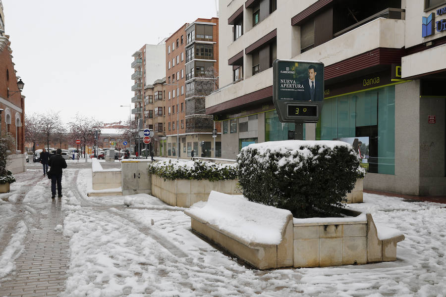 Fotos: La capital palentina se tiñe de blanco II