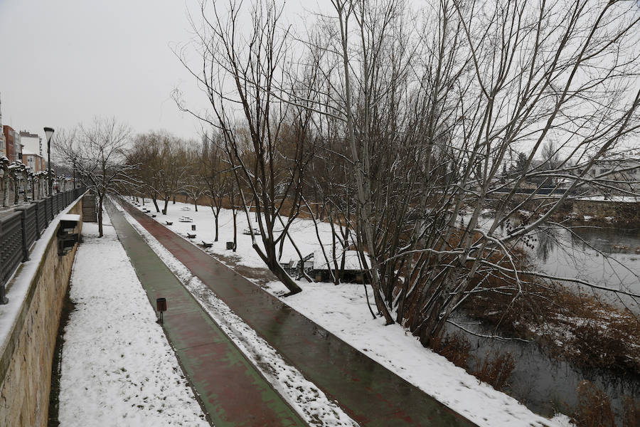 Fotos: La capital palentina se tiñe de blanco II