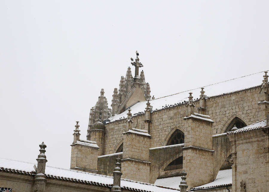 Fotos: La capital palentina se tiñe de blanco II