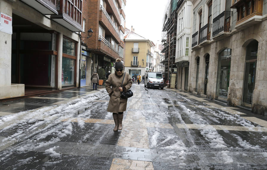 Fotos: La capital palentina se tiñe de blanco II