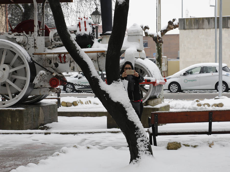 Fotos: La capital palentina se tiñe de blanco II
