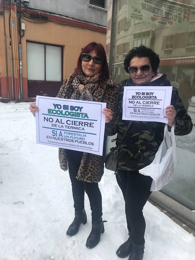 Fotos: Velilla, a favor de la planta de biomasa en Guardo