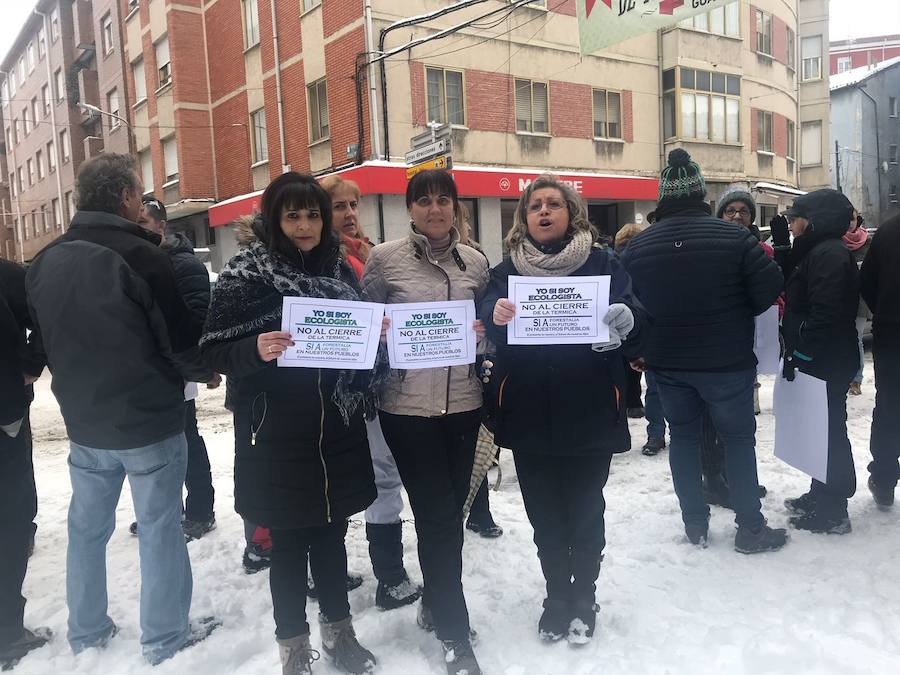 Fotos: Velilla, a favor de la planta de biomasa en Guardo