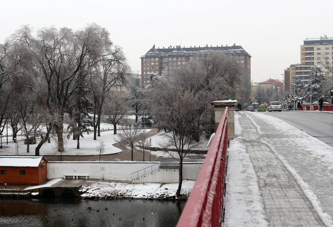 Fotos: Las bellas estampas que la nieve ha dejado en Valladolid