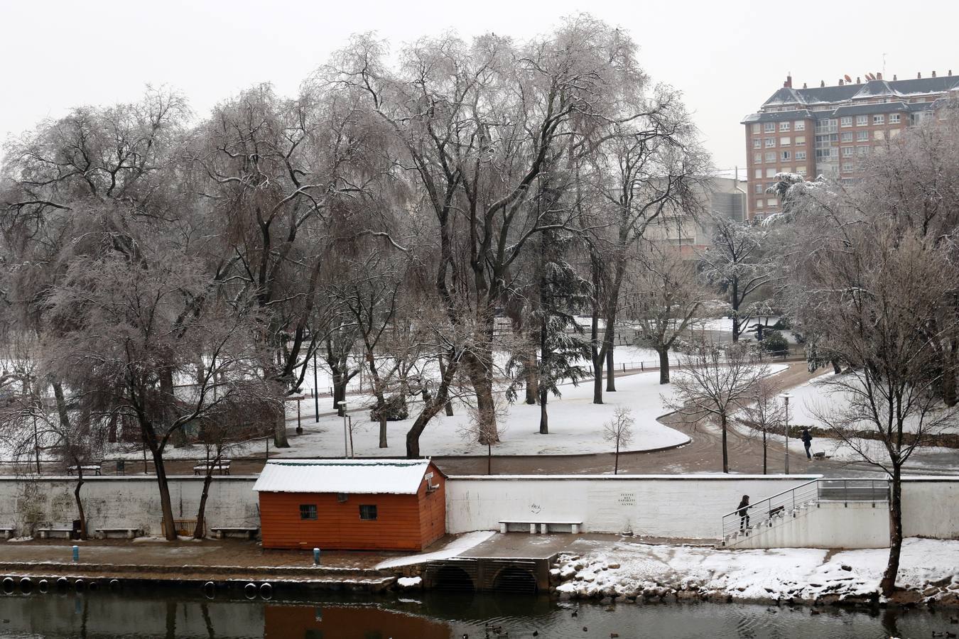 Fotos: Las bellas estampas que la nieve ha dejado en Valladolid