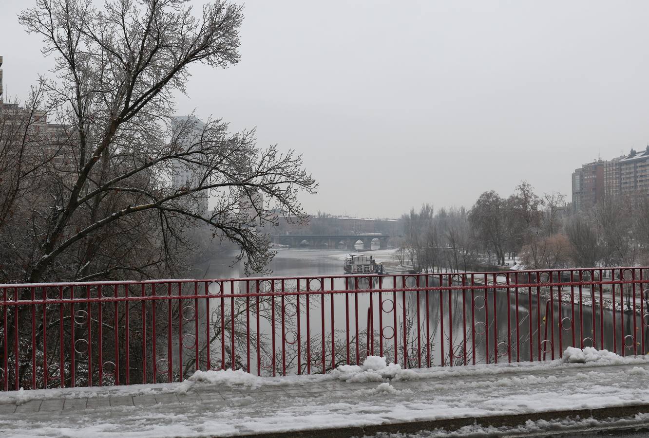 Fotos: Las bellas estampas que la nieve ha dejado en Valladolid