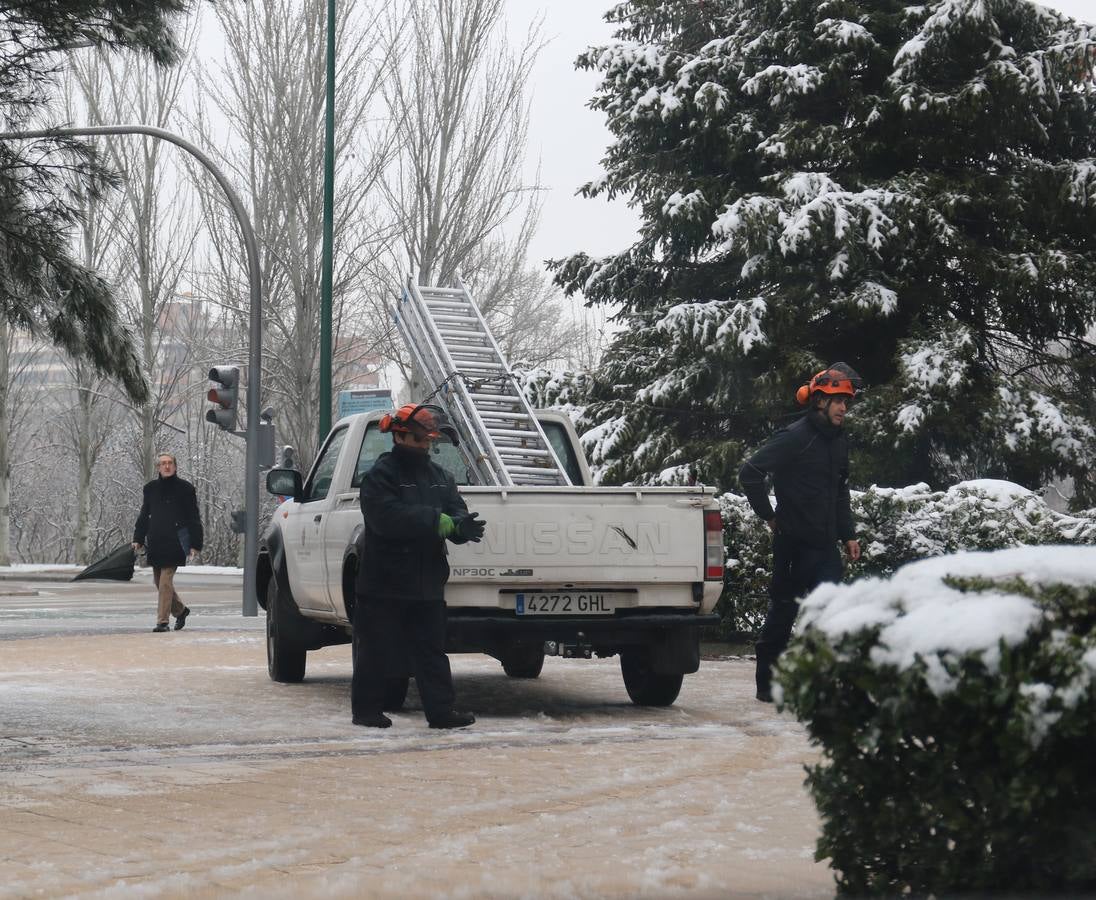 Fotos: Las bellas estampas que la nieve ha dejado en Valladolid