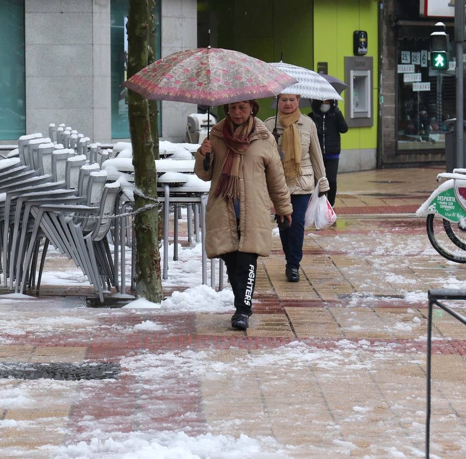 Fotos: Las bellas estampas que la nieve ha dejado en Valladolid