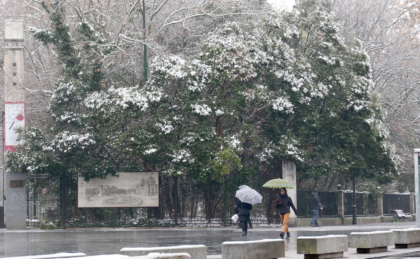 Fotos: Las bellas estampas que la nieve ha dejado en Valladolid