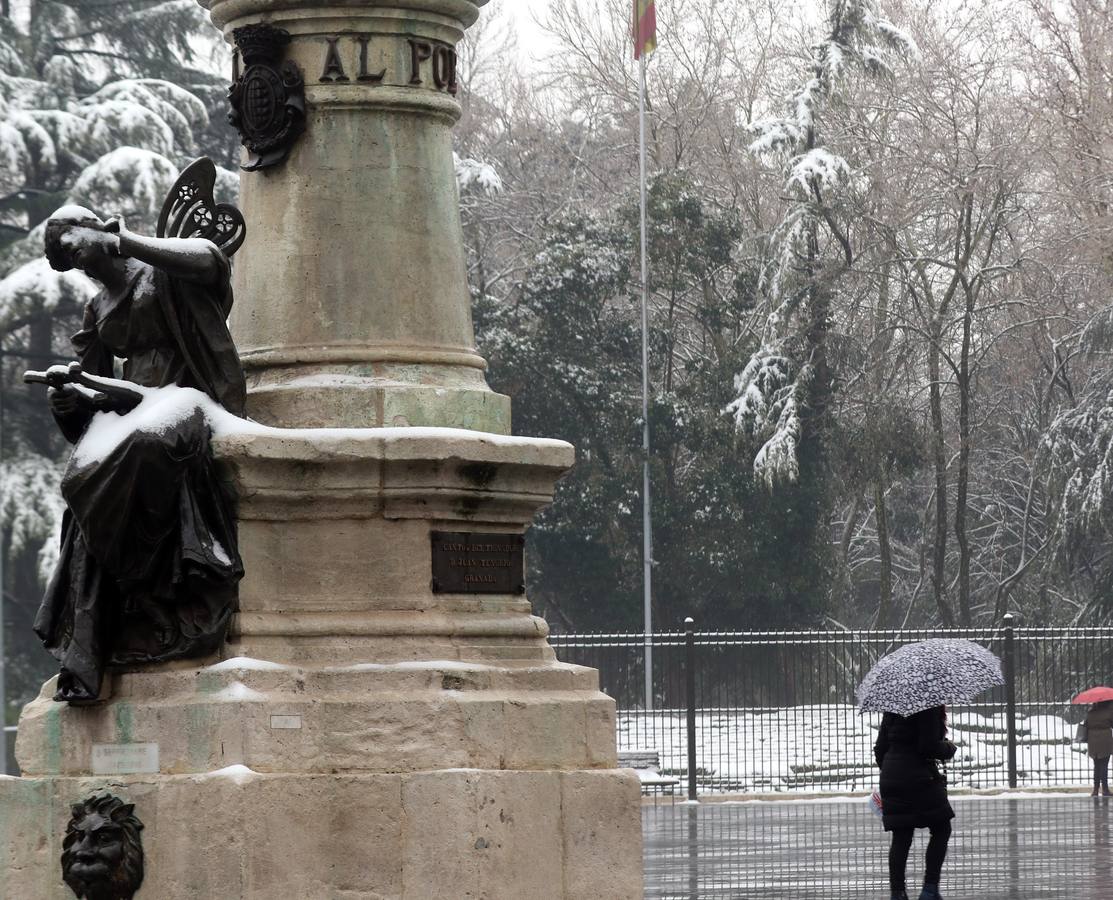 Fotos: Las bellas estampas que la nieve ha dejado en Valladolid