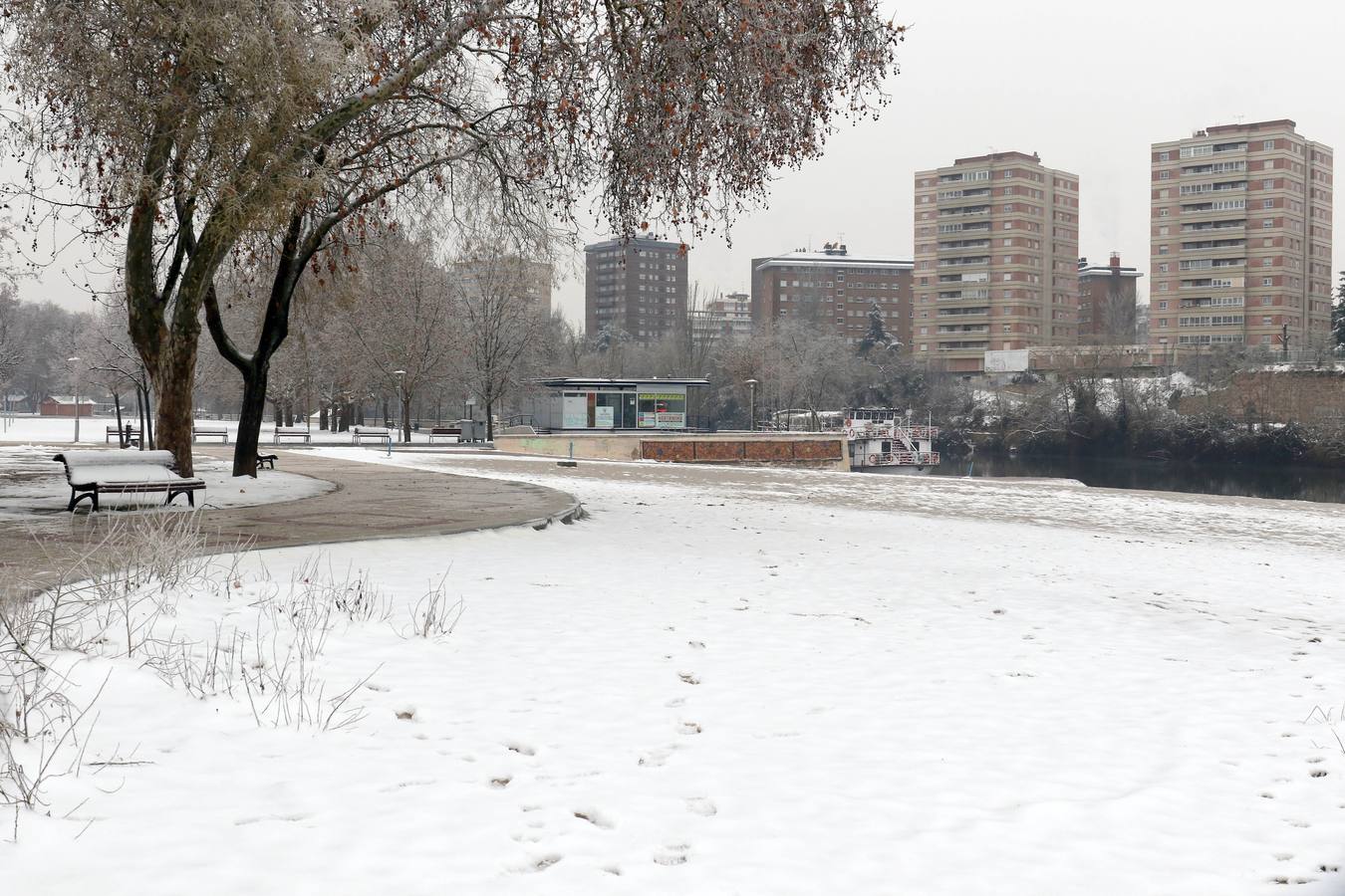 Fotos: Las bellas estampas que la nieve ha dejado en Valladolid