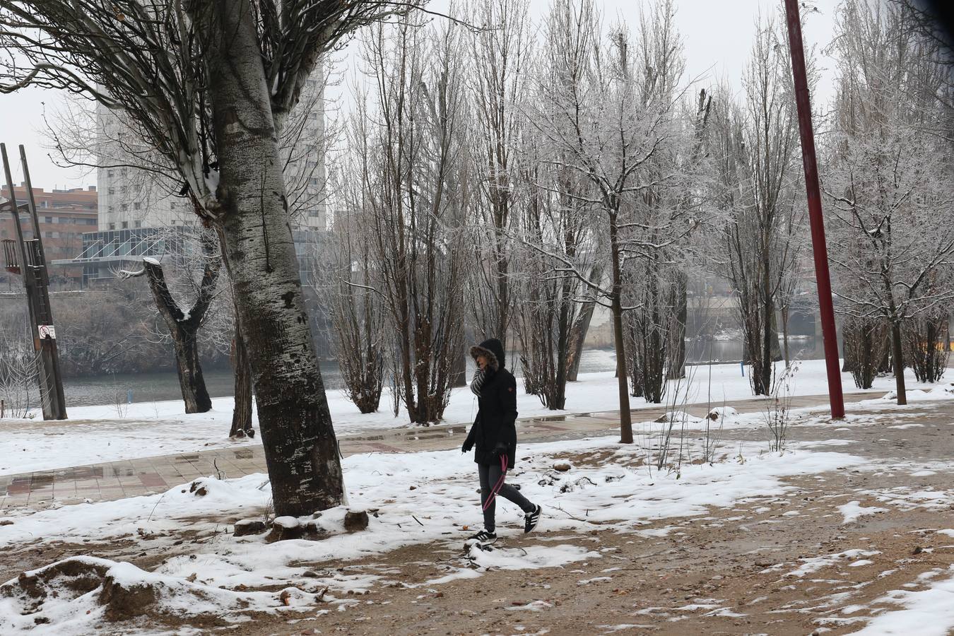 Fotos: Las bellas estampas que la nieve ha dejado en Valladolid