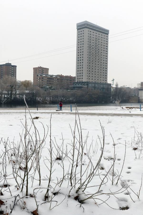Fotos: Las bellas estampas que la nieve ha dejado en Valladolid