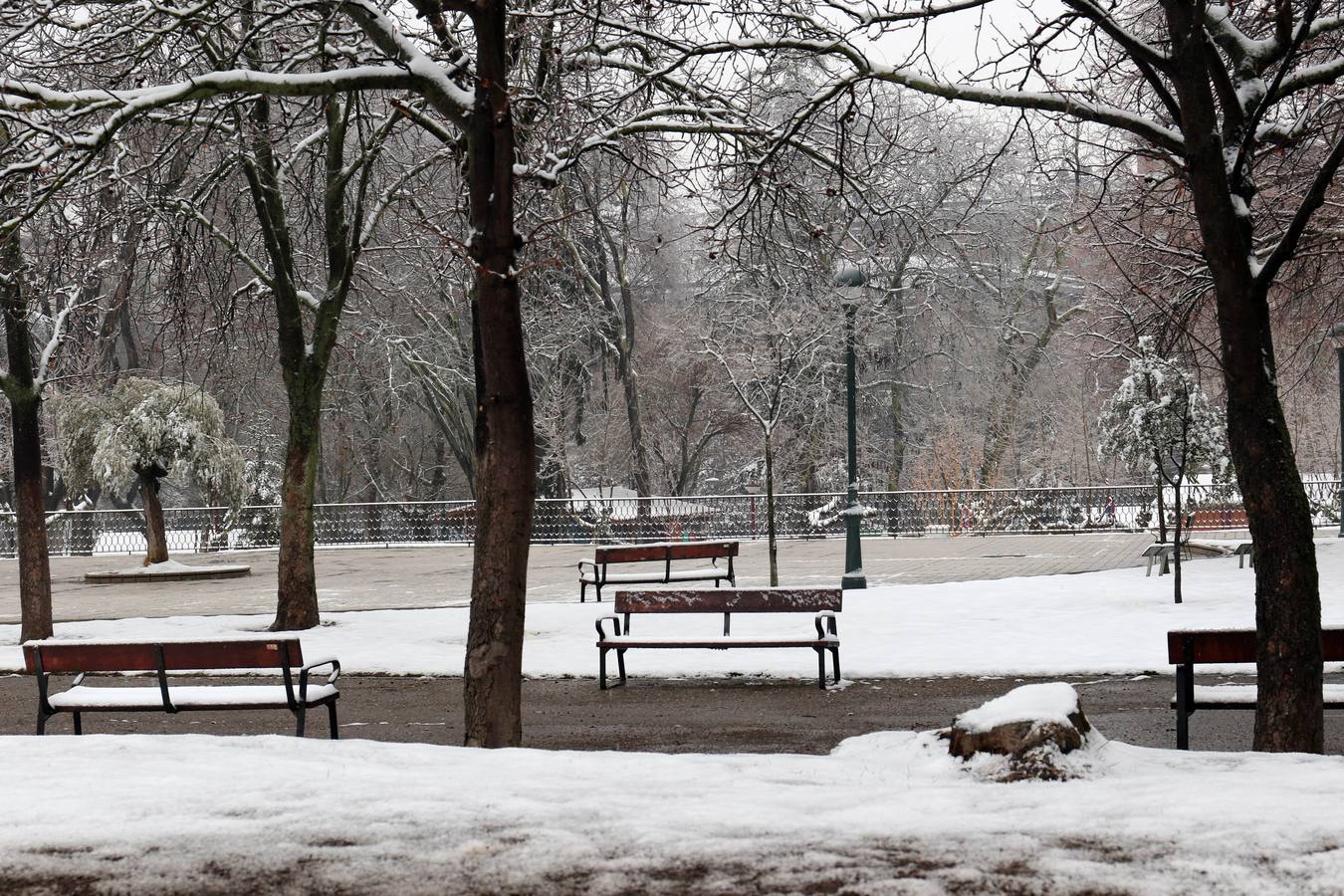Fotos: Las bellas estampas que la nieve ha dejado en Valladolid