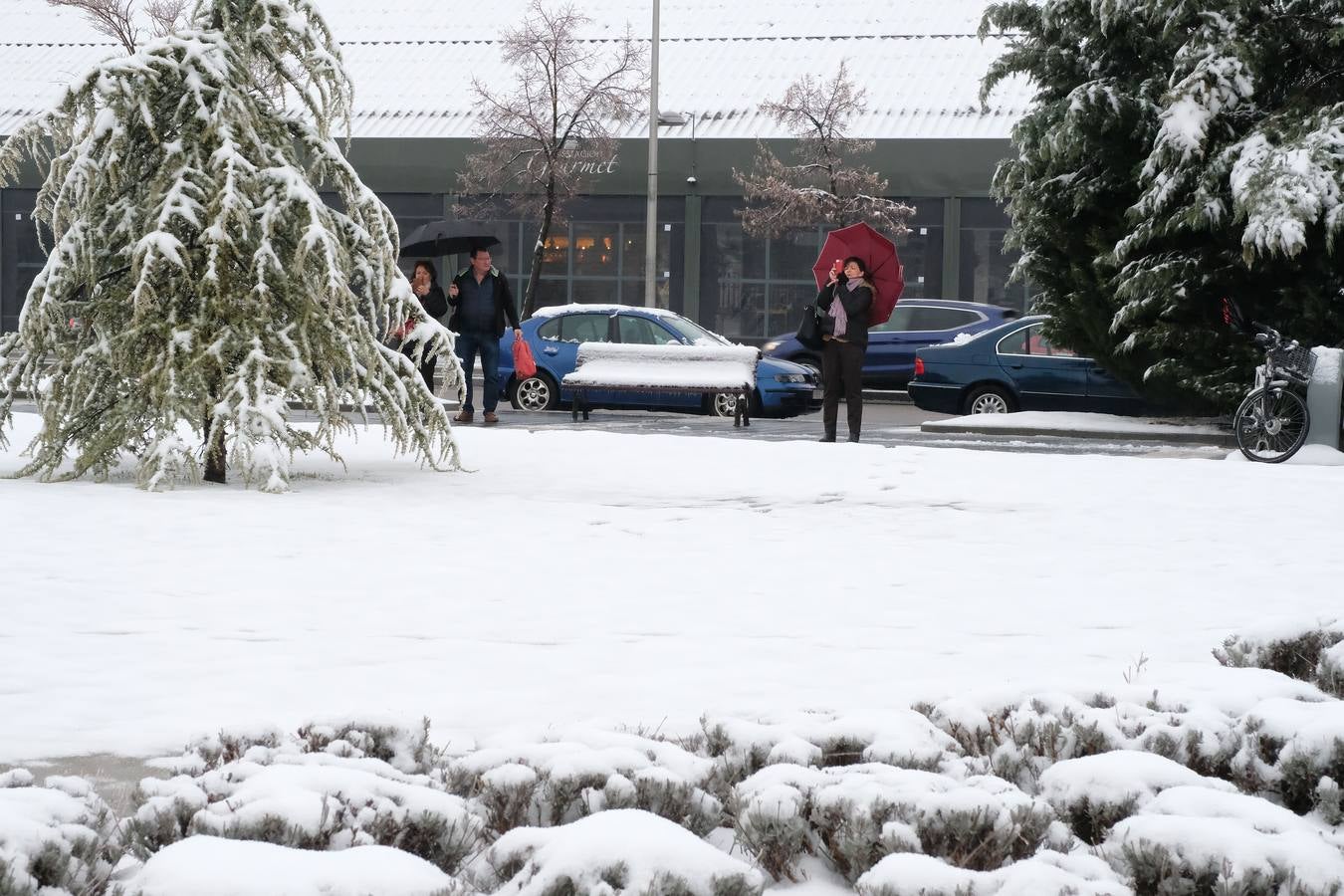 Fotos: Las bellas estampas que la nieve ha dejado en Valladolid