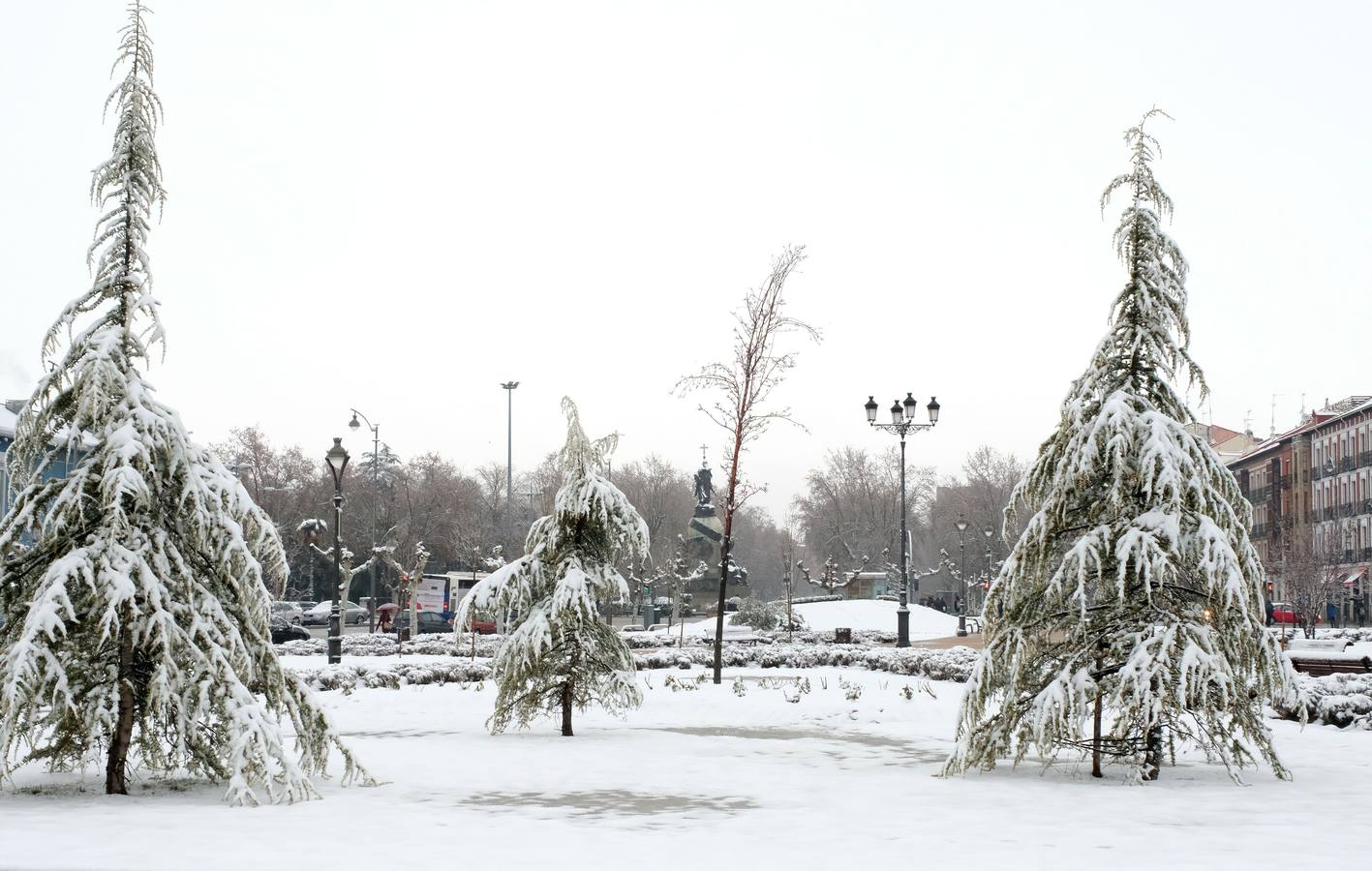 Fotos: Las bellas estampas que la nieve ha dejado en Valladolid