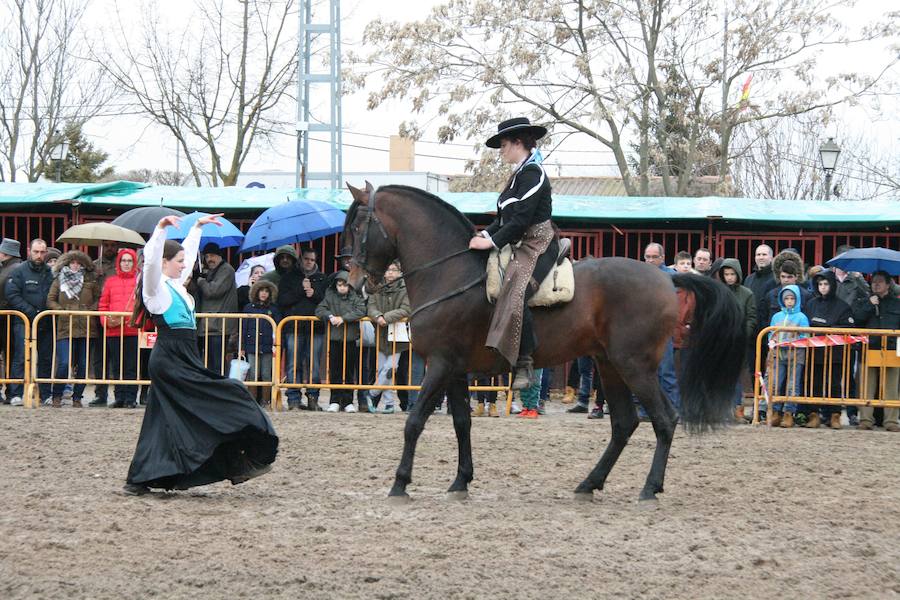 Fotos: Feria del Ángel de Fuentepelayo