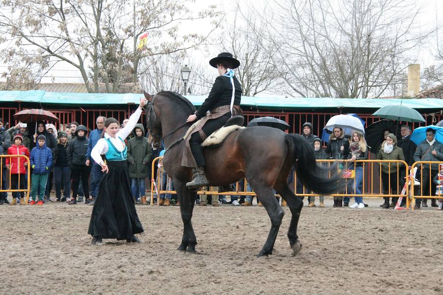 Fotos: Feria del Ángel de Fuentepelayo