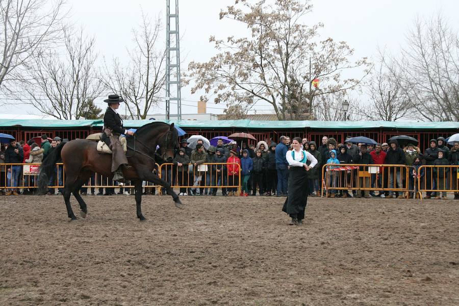 Fotos: Feria del Ángel de Fuentepelayo