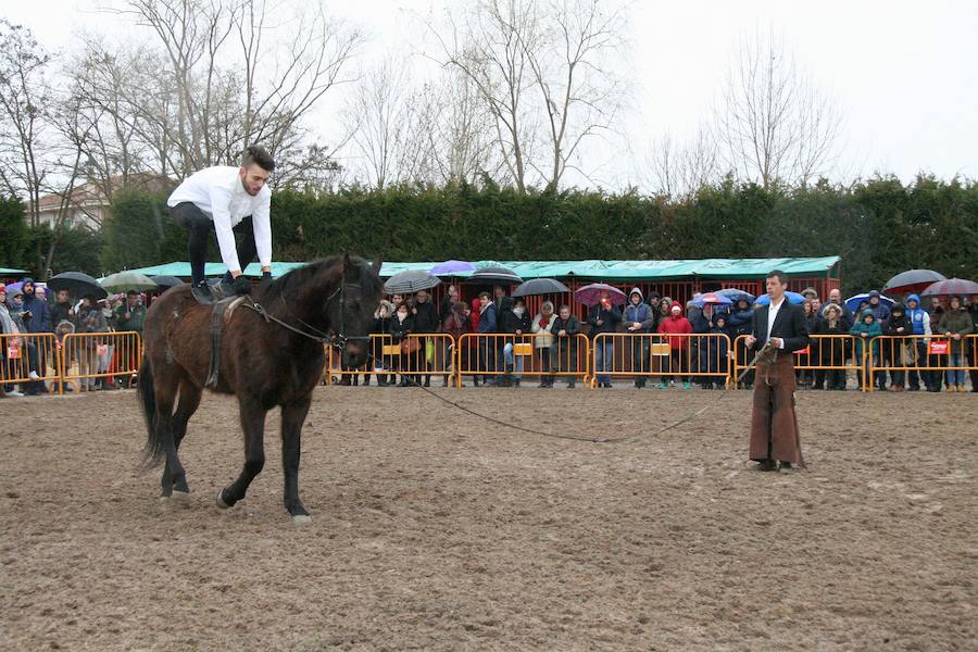 Fotos: Feria del Ángel de Fuentepelayo