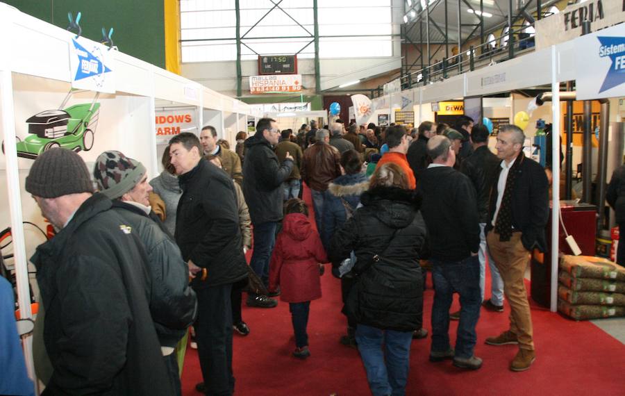 Fotos: Feria del Ángel de Fuentepelayo