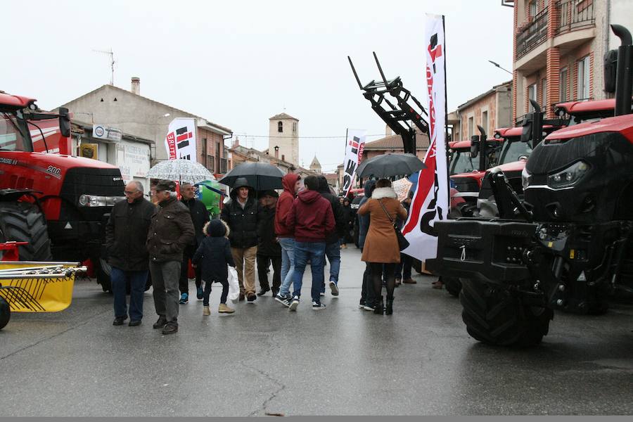 Fotos: Feria del Ángel de Fuentepelayo