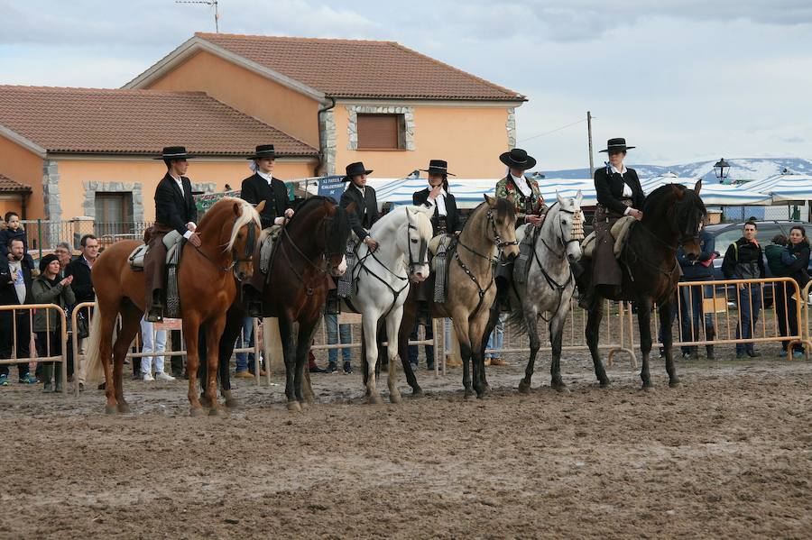 Fotos: Feria de El Ángel de Fuentepelayo, domingo