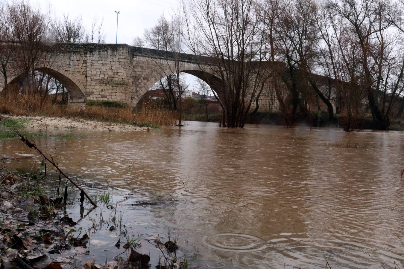 El río a su paso por Puente Duero.
