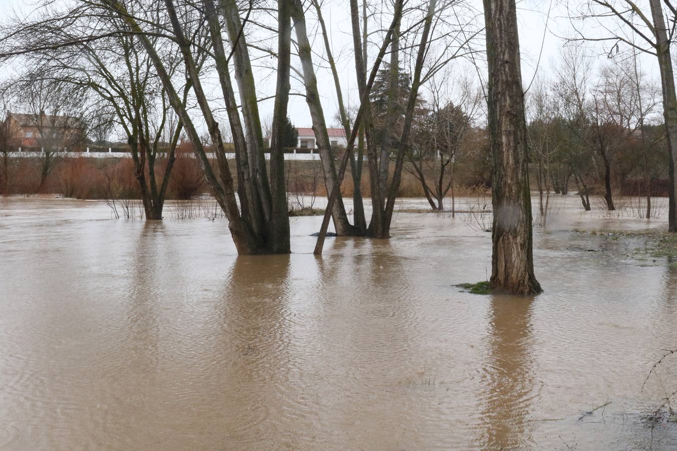 El río a su paso por Puente Duero.