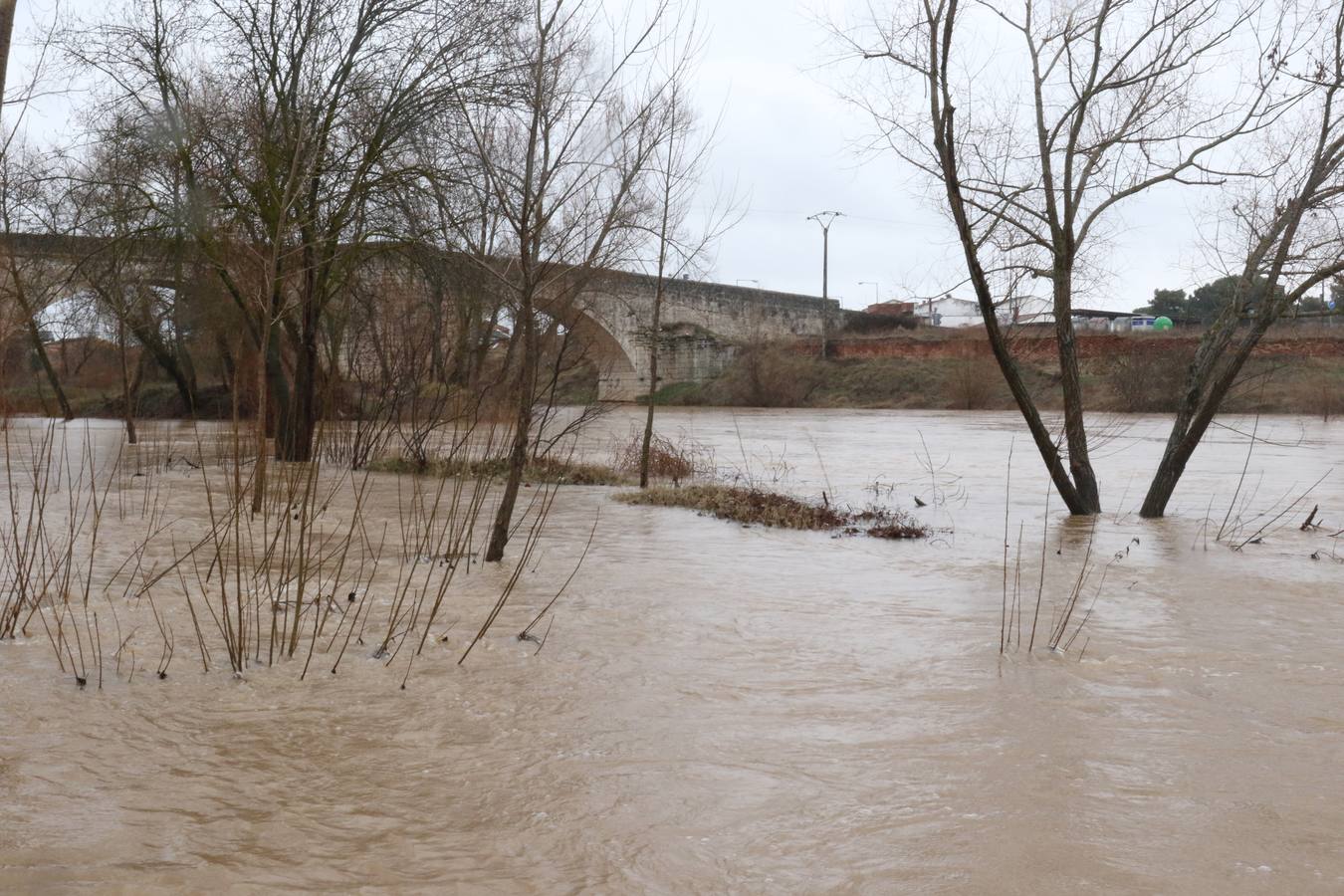 El río a su paso por Puente Duero.