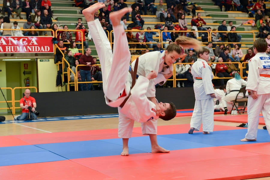 Fotos: Fiesta del judo en Salamanca