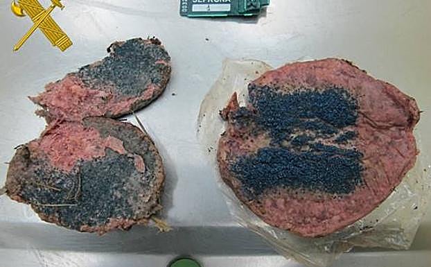 Cebo envenenado, formado por carne de ave a la que añadían una sustancia granulada negra, posiblemente Aldicarb. 