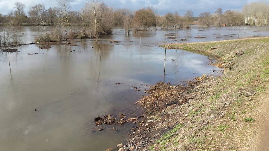 Un total de 35 provincias tendrán hoy avisos de riesgo (amarillo) o riesgo importante (naranja) por precipitaciones, tormentas, viento, fenómenos costeros, aludes o deshielo, según la Agencia Estatal de Meteorología (AEMET), y Salamanca es una de ellas, tanto por viento como por lluvia. 