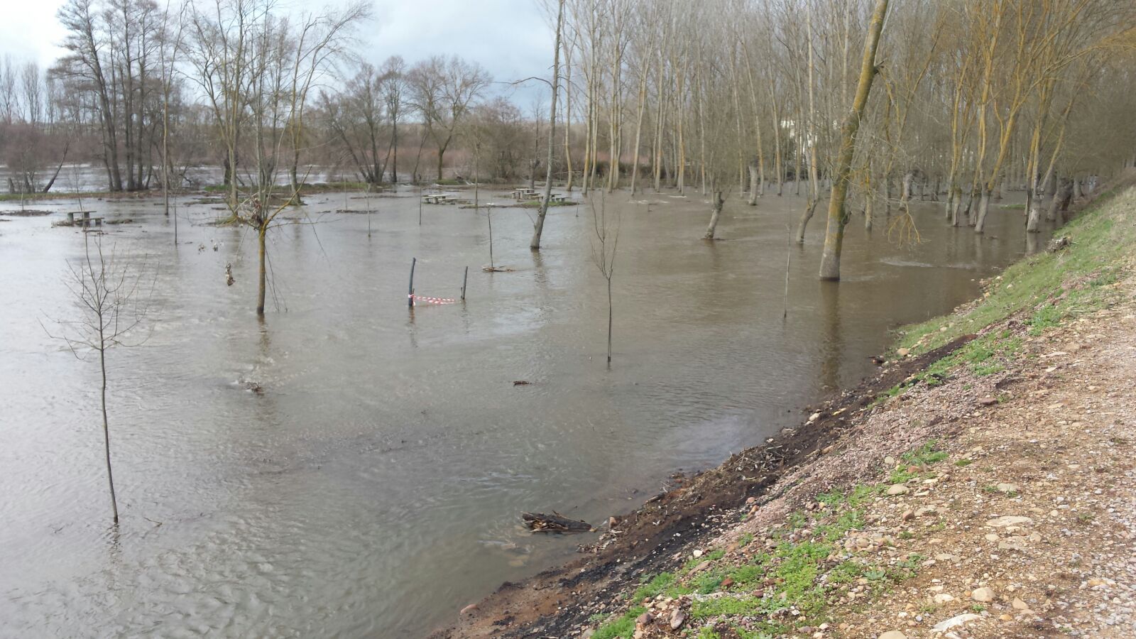 Las fuertas lluvias registradas en las últimas horas en buena parte de la cuenca del Duero han provocado que los ríos Bernesga, Támega, Tera y Tormes se encuentran en situación de alarma por aumento de caudal con riesgo de avenidas.