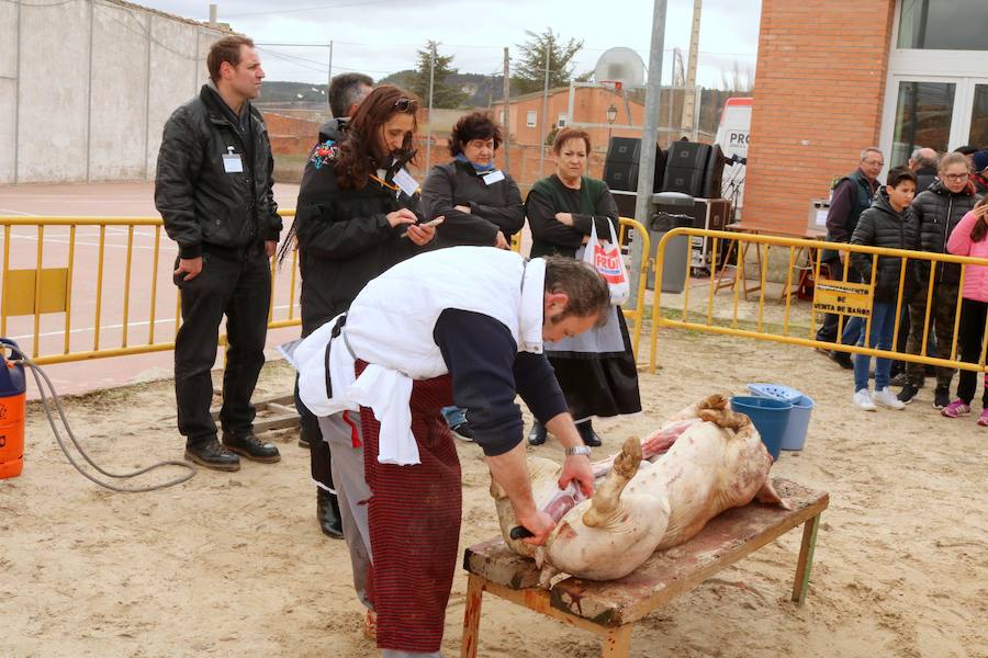 Fotos: Jornada de la matanza del cerdo en Baños de Cerrato